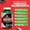 vital-alchemy-anafuse-turkesterone-suppl-3.jpg