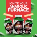 vital-alchemy-anafuse-turkesterone-suppl-4.jpg