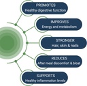 healthy-gut-hcl-guard-promotes-healthy-d-4.jpg