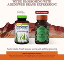herbs-etc-chloroxygen-chlorophyll-concen-2.jpg