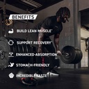 kaged-whey-protein-isolate-elite-powder--5.jpg