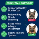 strellalab-fish-oil-omega-3-treats-for-d-2.jpg