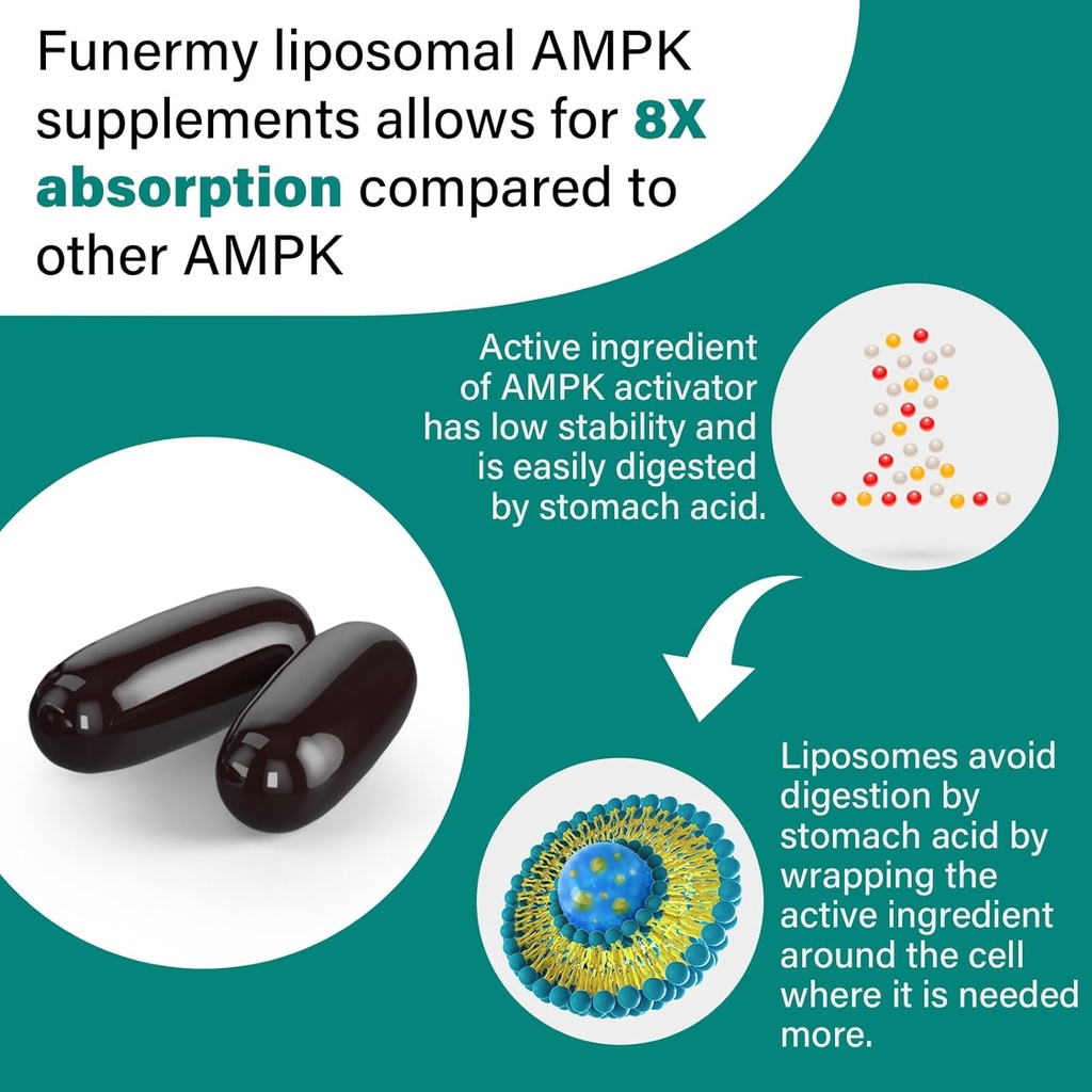liposomal-ampk-activator-2000-mg---high--4.jpg