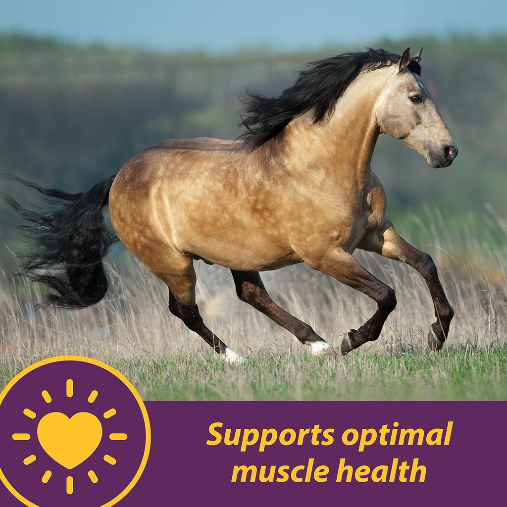horse-health-vita-e-selenium-crumbles-ho-2.jpg