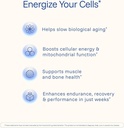 prohealth-ca-akg-supplement-alpha-ketogl-3.jpg