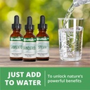 nutramedix-nutra-brl---liquid-herbal-sup-6.jpg