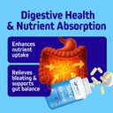 herbtonics-tudca-1000mg-liver-detox-gall-5.jpg