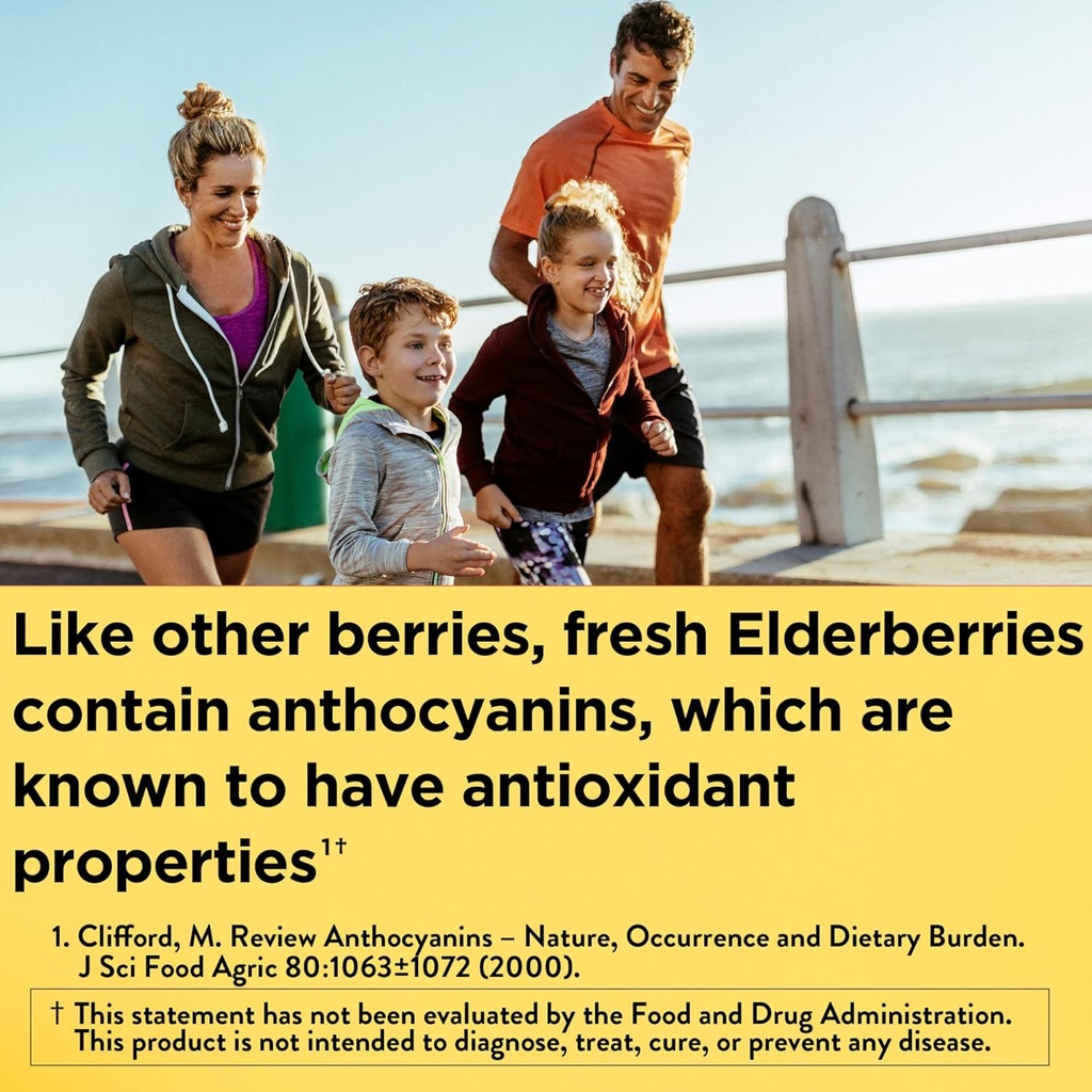 nature-made-elderberry-with-vitamin-c-an-2.jpg