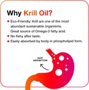 megared-antarctic-krill-oil-500mg-omega--5.jpg