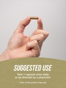 bulksupplementscom-cordyceps-mushroom-ca-4.jpg
