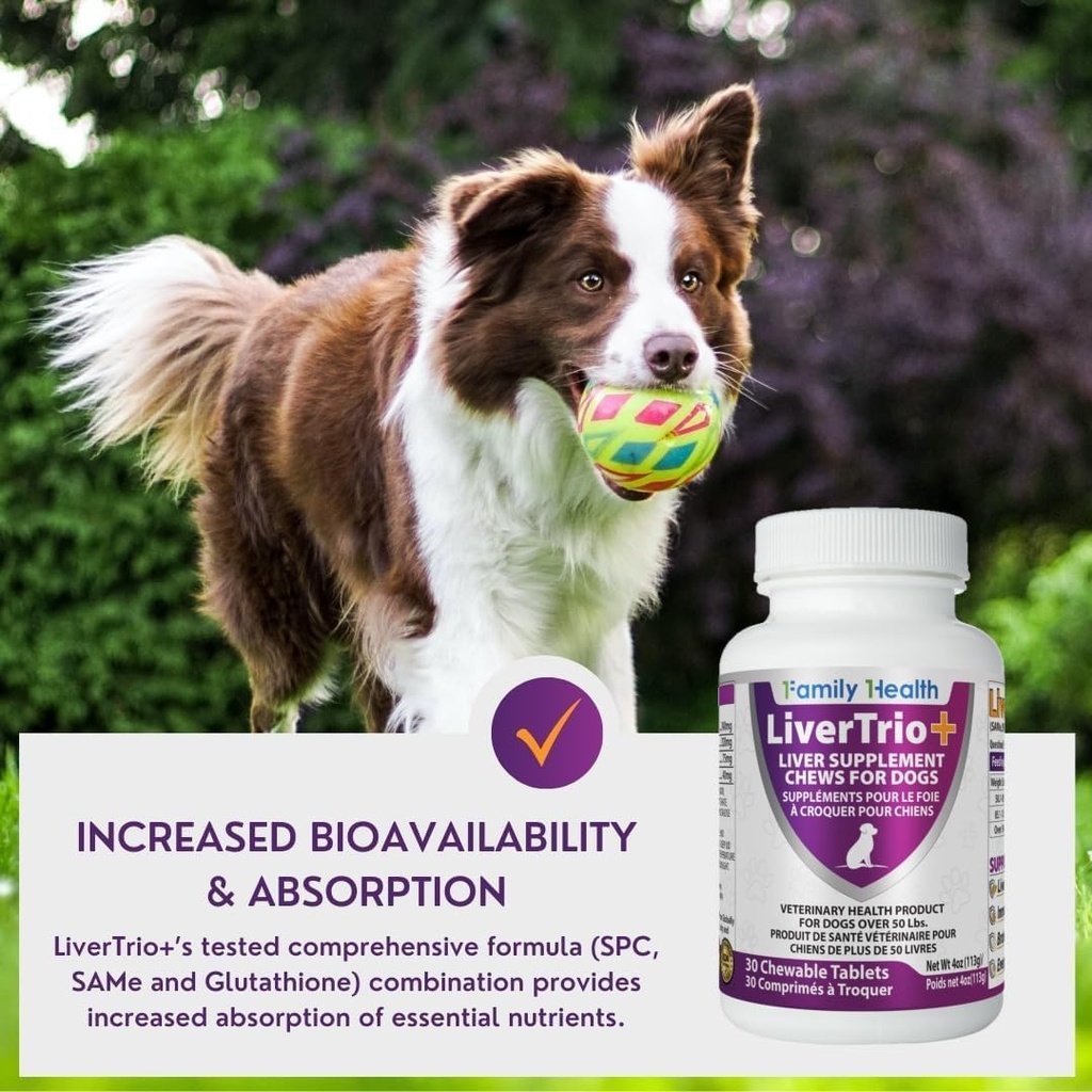 comprehensive-liver-support-supplement-f-5.jpg
