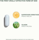 glisodin-skin-nutrients-the-antioxidant--5.jpg