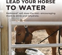 daily-red-fortified-wgarlic---horse-vita-2.jpg