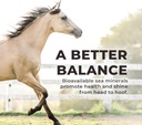 daily-red-fortified-wgarlic---horse-vita-3.jpg