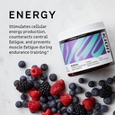 kion-aminos-essential-amino-acids-supple-3.jpg