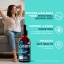 e2h-advanced-intestinal-support---natura-2.jpg