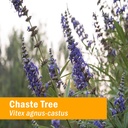 herb-pharm-chaste-tree-liquid-extract-fo-2.jpg