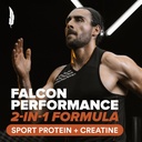 birdman-falcon-performance-vegan-protein-3.jpg