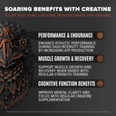 birdman-falcon-performance-vegan-protein-4.jpg