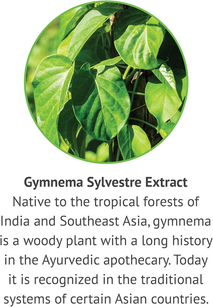 gymnema-sylvestre-liquid-extract-alcohol-4.jpg
