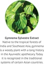gymnema-sylvestre-liquid-extract-alcohol-4.jpg