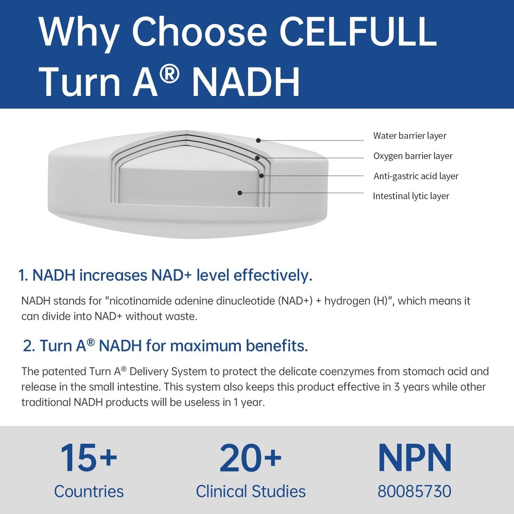 celfull-40mg-nadh-immune-support-supplem-4.jpg