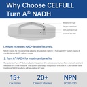 celfull-40mg-nadh-immune-support-supplem-4.jpg