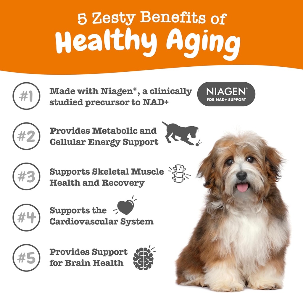 zesty-paws-nad-precursor-supplement-for--2.jpg