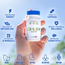 steel-supplements-one-once-daily-multivi-2.jpg