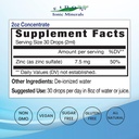 eidon-ionic-minerals-liquid-zinc-concent-2.jpg