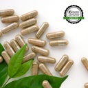 remedys-nutrition-menopause-pmTM-1000-mg-5.jpg