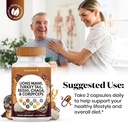 lions-mane-mushroom-supplement-with-turk-6.jpg