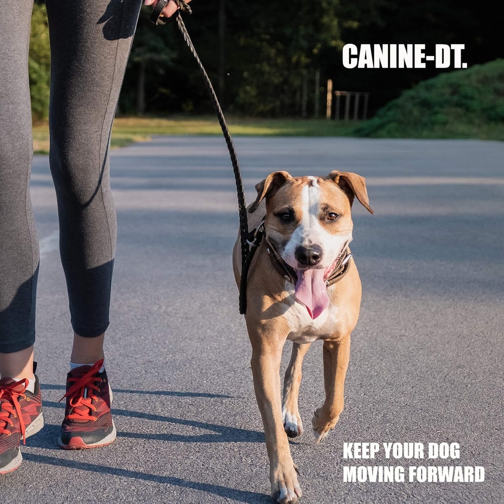 amber-naturalz-canine-dt-herbal-suppleme-5.jpg