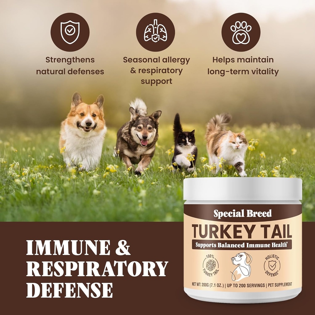 turkey-tail-mushroom-for-dogs---organic--5.jpg