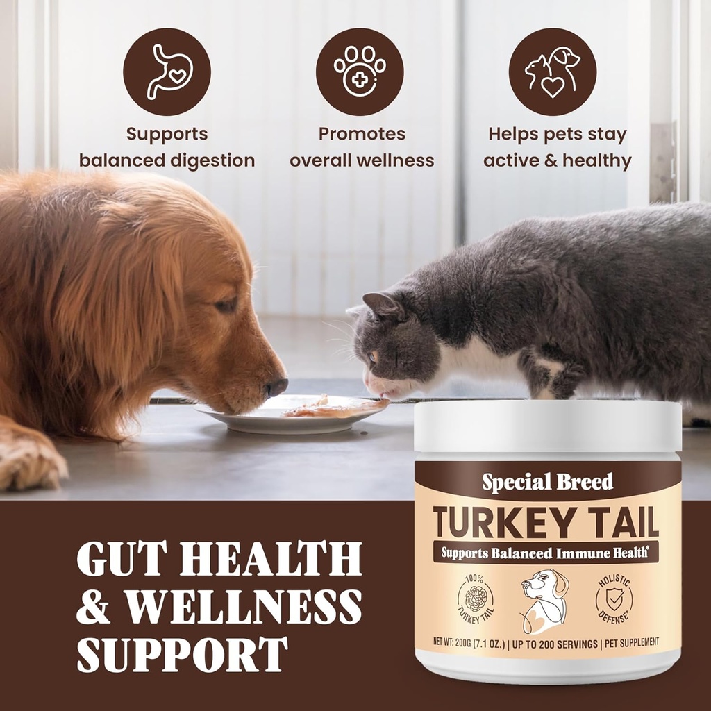 turkey-tail-mushroom-for-dogs---organic--6.jpg