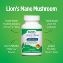 doctors-preferred-lions-mane-mushroom-su-4.jpg