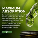 ultra6-nutrition-probiotics-for-women-me-4.jpg