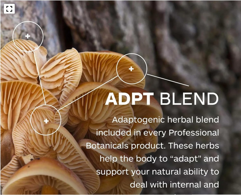 professional-botanicals---vegan-formulat-4.jpg