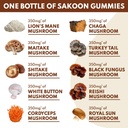 sakoon-nutrition-lions-mane-mushroom-gum-3.jpg