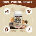 sakoon-nutrition-lions-mane-mushroom-gum-6.jpg