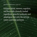 juna-gut-therapy---advanced-brain-gut-he-3.jpg