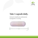 terry-naturally-bioactive-vitamin-b---ai-4.jpg