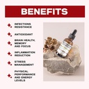 liquid-mushroom-complex-herbal-liquid-dr-5.jpg