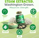 maju-superfoods-lions-mane-capsules-and--3.jpg
