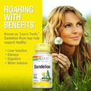 solaray-dandelion-root-healthy-liver-kid-4.jpg