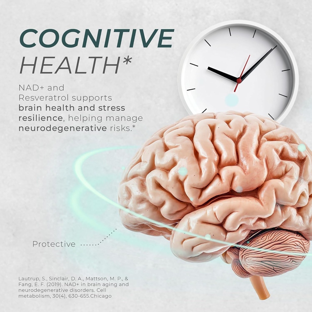 neurogan-nad-resveratrol-supplement-cell-6.jpg