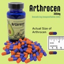 joint-health-supplement-300mg-avocado-so-2.jpg