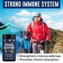 alpha-flow-bundle-l-tyrosine-1000mg-lipo-4.jpg