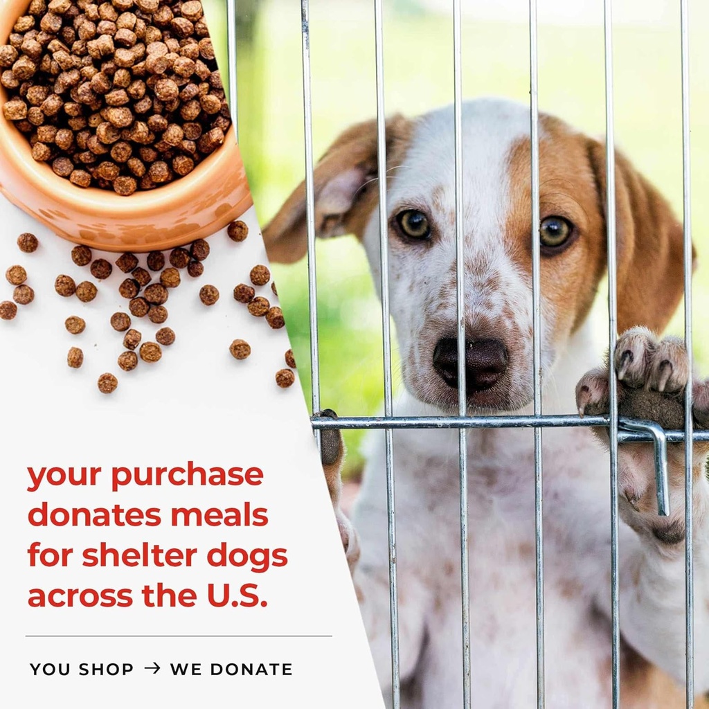 iheartdogs-salmon-oil-for-dogs-and-cats--3.jpg