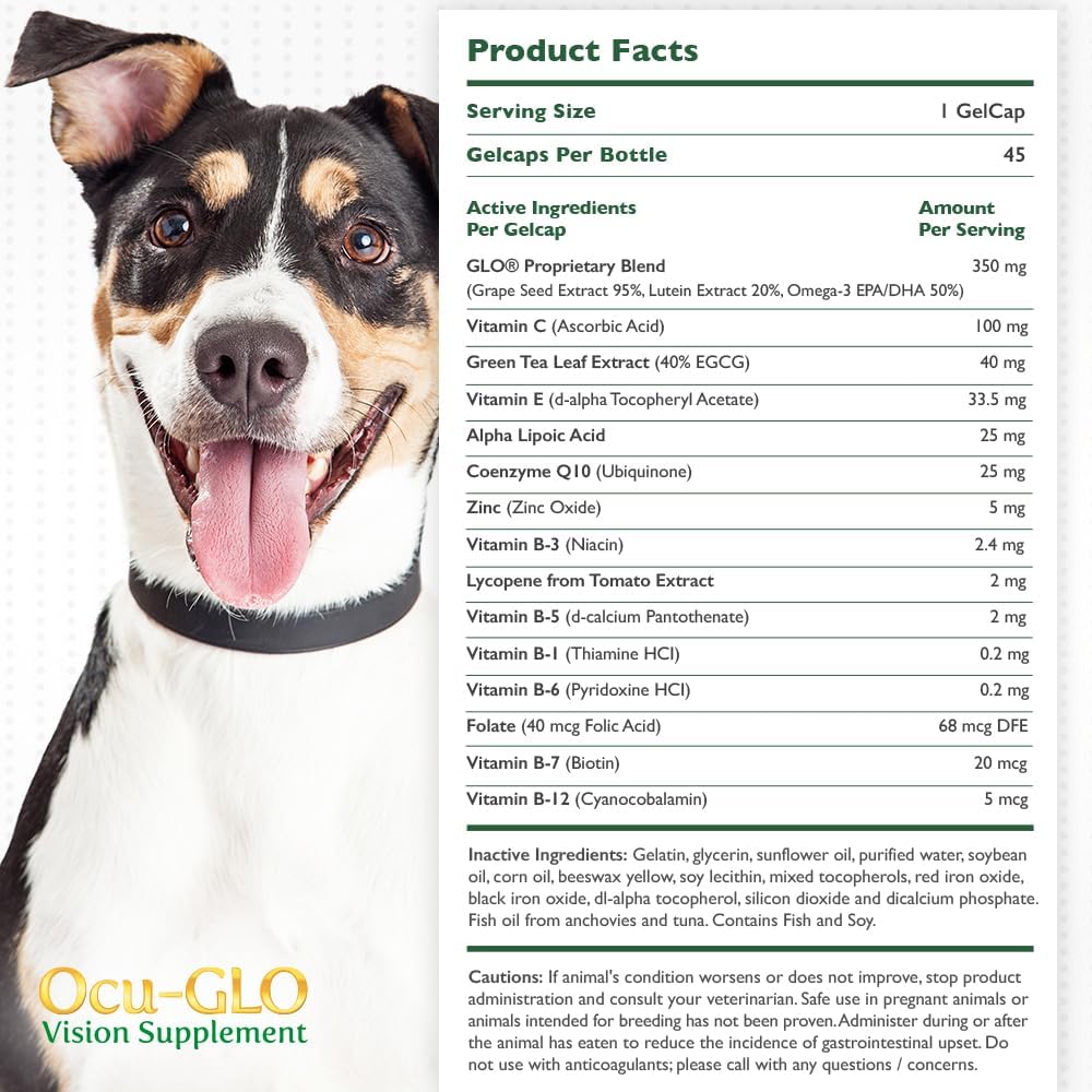 ocu-glo-vision-supplement-for-medium-to--3.jpg